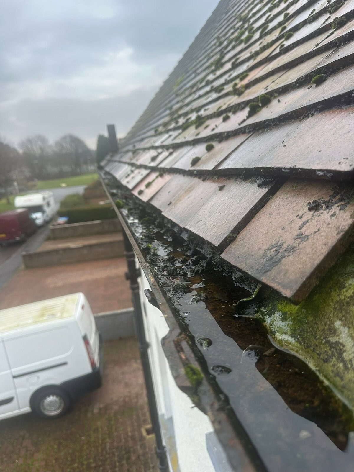 Gutter full of wet sludge and moss beside red concrete roof tiles